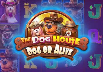 NOVOMATIC - — слот онлайн